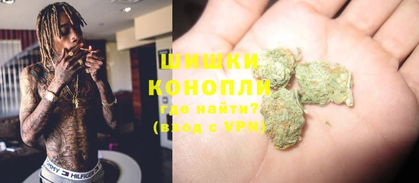 крисы Богородск
