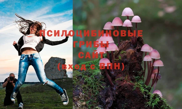 МДМА Богданович