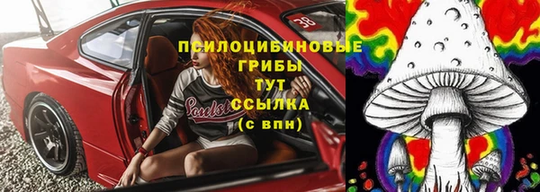 a pvp Богородицк