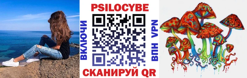 купить закладку  Ярославль  Псилоцибиновые грибы мицелий 